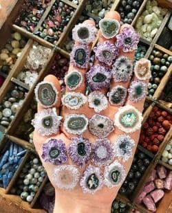 A pretty image